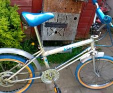 Raleigh Grifter