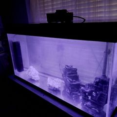 fish tank
