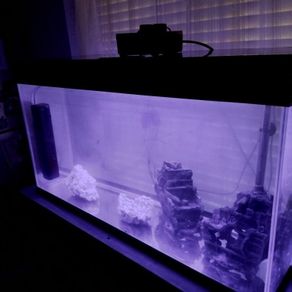 fish tank