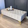 Chester Lux Coffee Table / Long Footstoll in Beige Velvet with Gold Legs 120x60cm Image 3