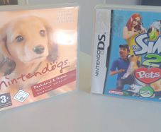 Nintendo ds games