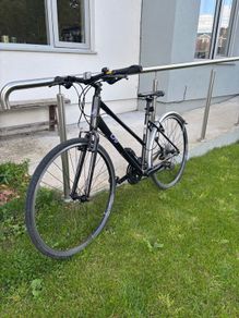 Women's LivAlight 3 D Medium Bike
