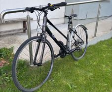 Women's LivAlight 3 D Medium Bike