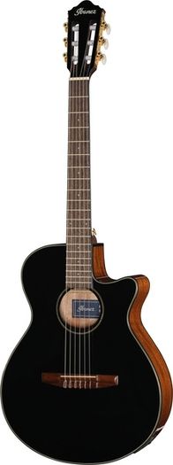 Ibanez AEG50N nylon acoustic