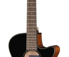 Ibanez AEG50N nylon acoustic