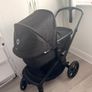 Black bugaboo renew Image 9