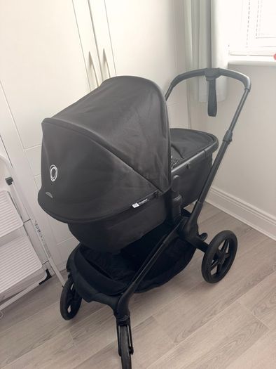 Black bugaboo renew