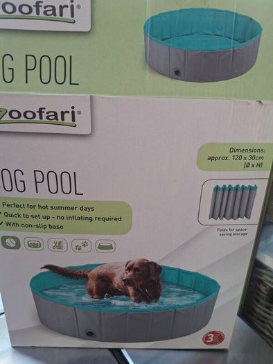 dog pool