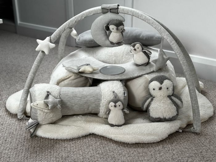 Wish Upon a Cloud Playmat Bundle with Tummy Time Roll, Sit & Play