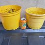 2 yellow plastic flower pots Image 2