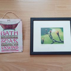 Limited edition signed print "Spring Buds"  & Bathroom metal sign