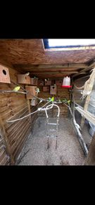 bird aviary