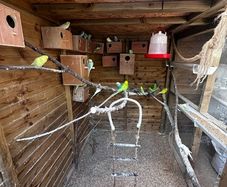 bird aviary