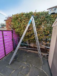 ladder