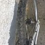 Gents /teens mountain bike Image 4
