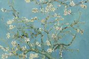 Vincent Van Gogh - Almond Blossom - Rare Mini Print/Poster