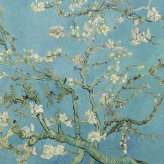 Vincent Van Gogh - Almond Blossom - Rare Mini Print/Poster