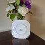Royal Tara Vintage 1940's fine bone china plates Image 3
