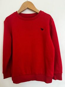 NEXT boys sweatshirt Age 5-6 years