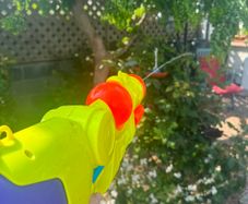 Water Guns