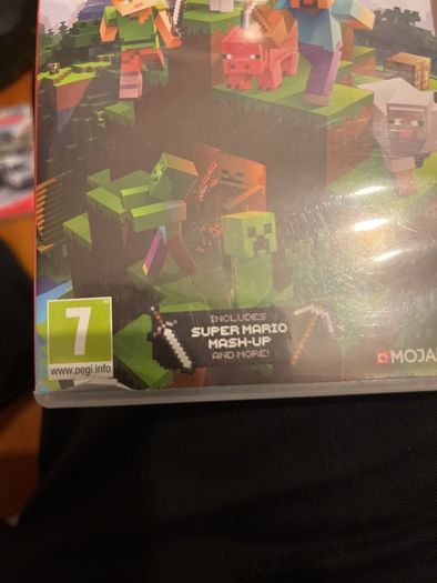 Minecraft Nintendo switch