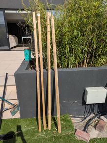 Tree Stake