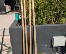 Tree Stake