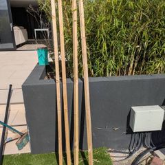 Tree Stake