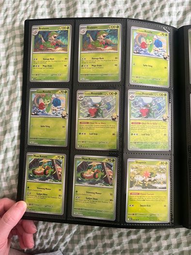Pokemon Destined Rivals Set
