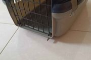 pet carrier
