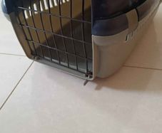 pet carrier