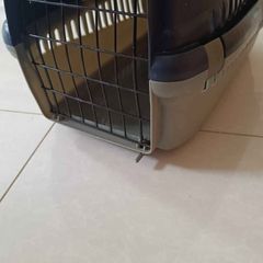pet carrier