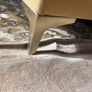 couch Image 2