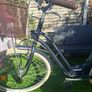 bike Image 5