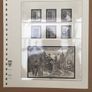 Jersey 1969-2002 Lindner T Illustrated 18 Ring Hingeless Album Pages Image 9