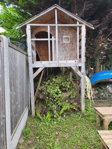 free trampoline and tree house