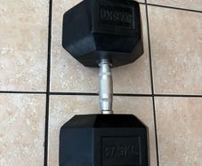 Single 37.5kg Rubber Hex Dumbbell