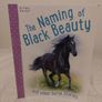 horse Stories Books by miles kelly Image 4