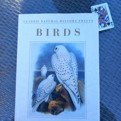 Large hardback book on bird illustrations, D18 post 7e