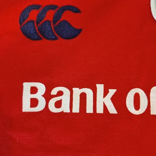 Ireland (IRFU) O2 Rugby Jersey (L)