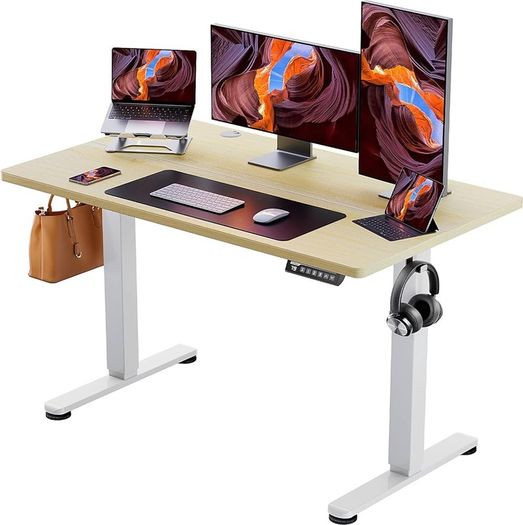 Height Adjustable Electric Standing Desk, 48 x 24 Inches Sit Stand up Desk, Memory Computer Home Office Desk