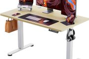 Height Adjustable Electric Standing Desk, 48 x 24 Inches Sit Stand up Desk, Memory Computer Home Office Desk
