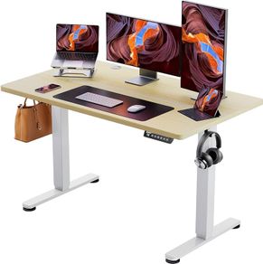 Height Adjustable Electric Standing Desk, 48 x 24 Inches Sit Stand up Desk, Memory Computer Home Office Desk