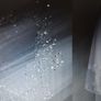 2 Tier Elbow Length Bridal Veil Image 5