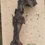 bog oak Image 6