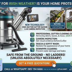 Gutter Cleaning & Inspection