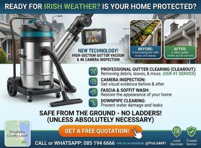 Gutter Cleaning & Inspection