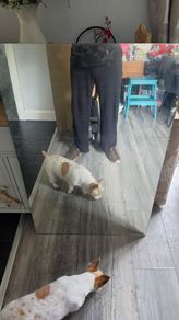 Large rectangle mirror