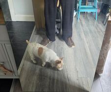 Large rectangle mirror