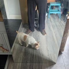 Large rectangle mirror